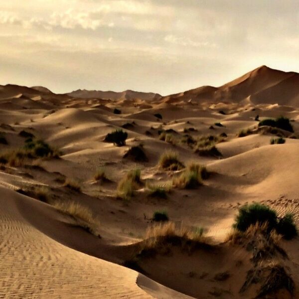 Morocco Sahara tour Marrakech Merzouga 4 Days